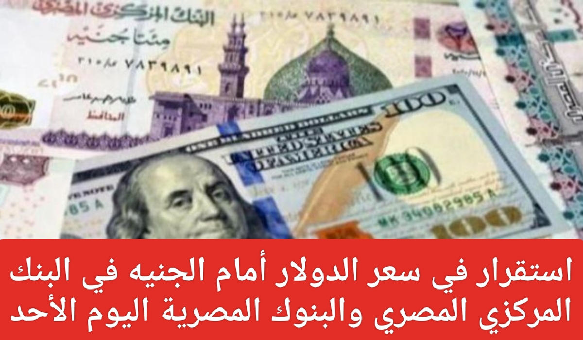 سعر الدولار الأمريكي اليوم 