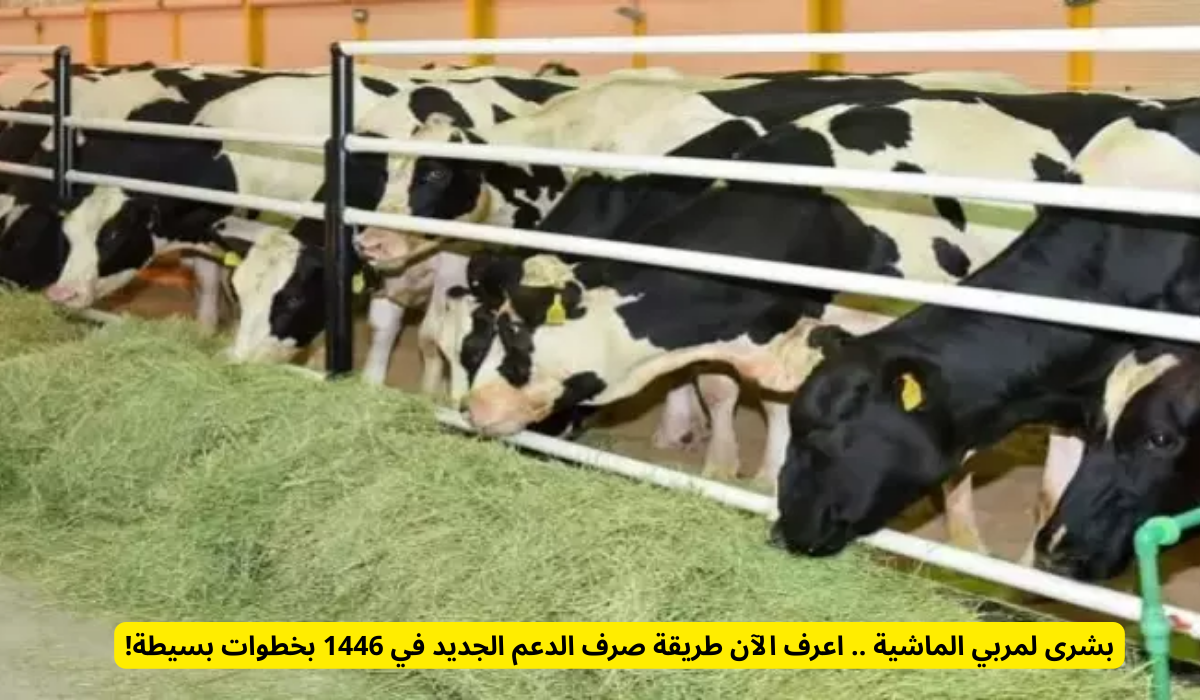 دعم المواشي