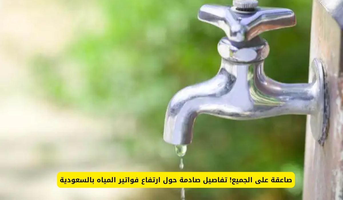 شركة مرافق الكهرباء والمياه