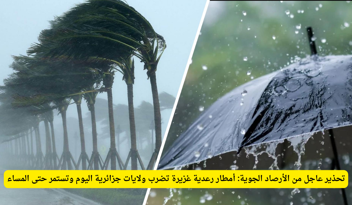 الأرصاد الجوية الجزائرية