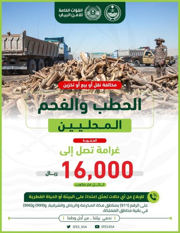 عقوبة بيع الحطب المحلي في السعودية