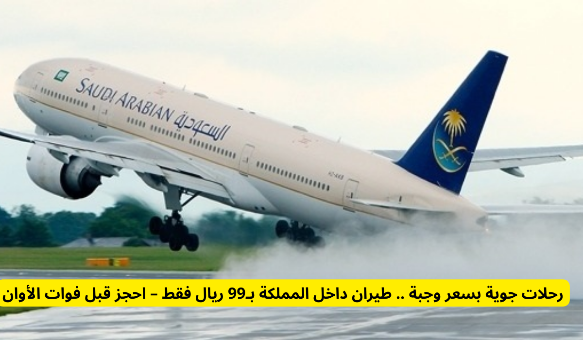 عروض الطيران داخل المملكة