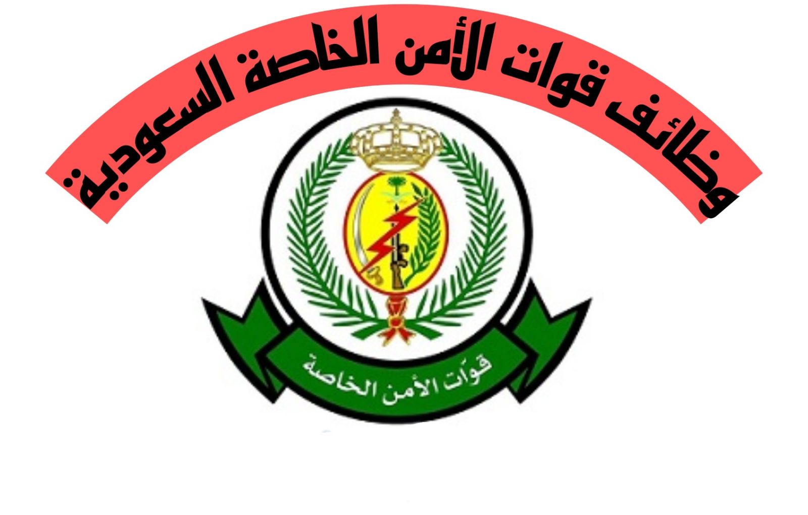 وظائف قوات الأمن الخاصة