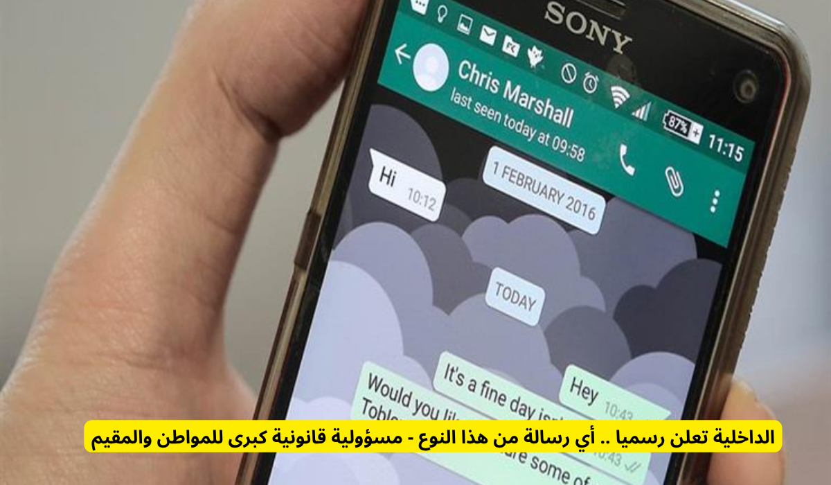 جرائم الاحتيال الإلكتروني