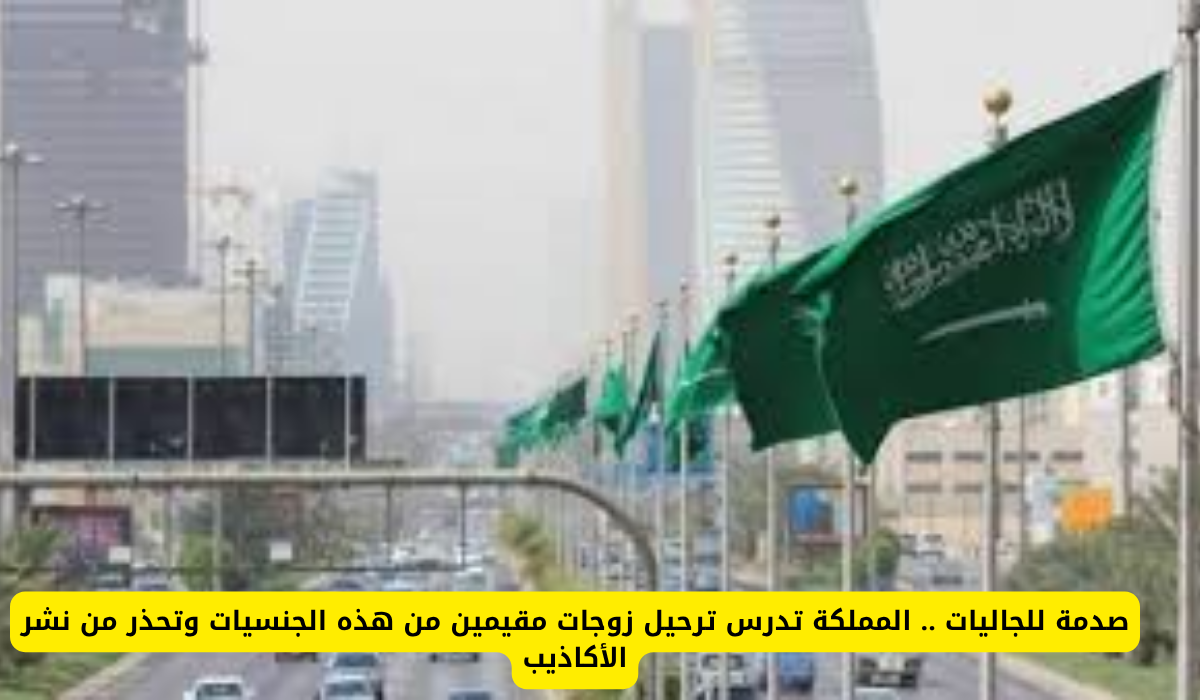 تأشيرات الزيارة العائلية