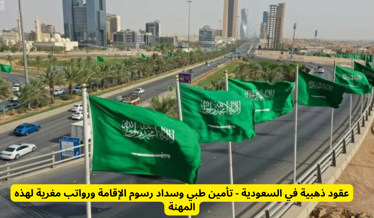 تأمين طبي وسداد رسوم الإقامة