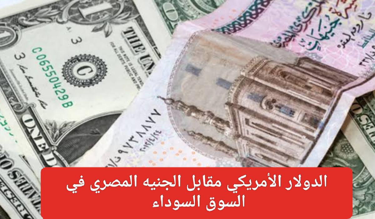 الدولار الأمريكي مقابل الجنيه المصري